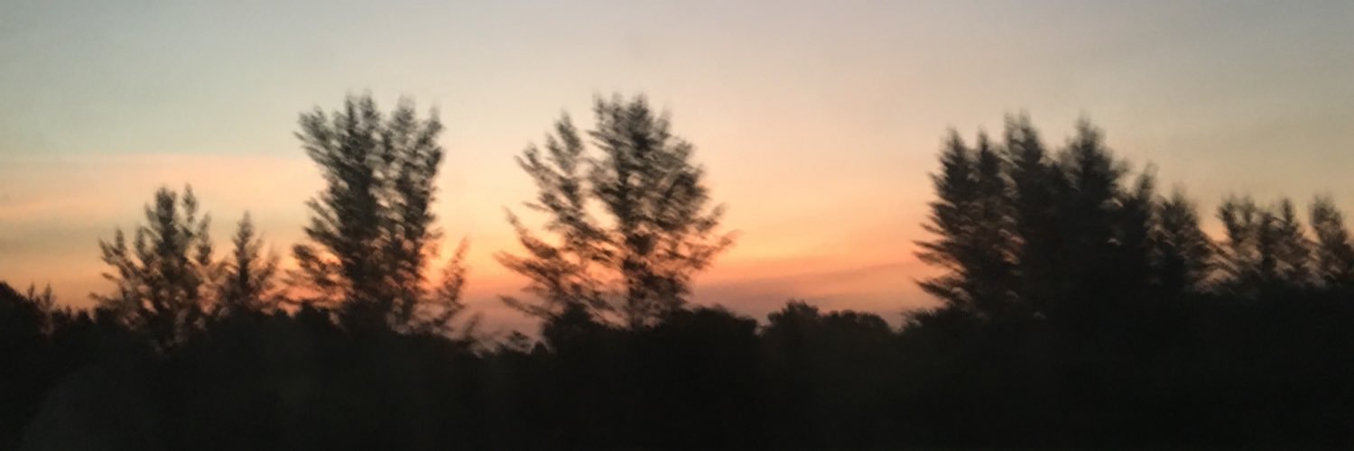 sandoval_isabel's profile banner image