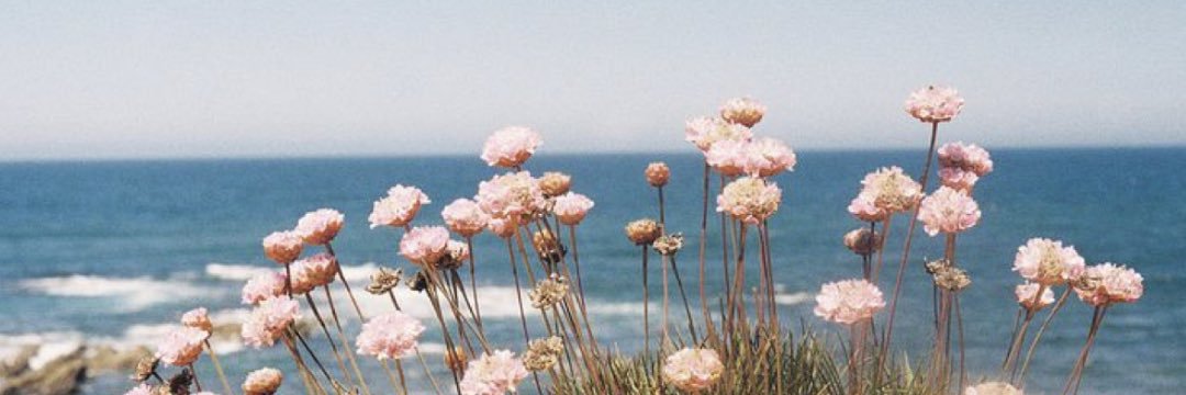 AHeckle's profile banner image