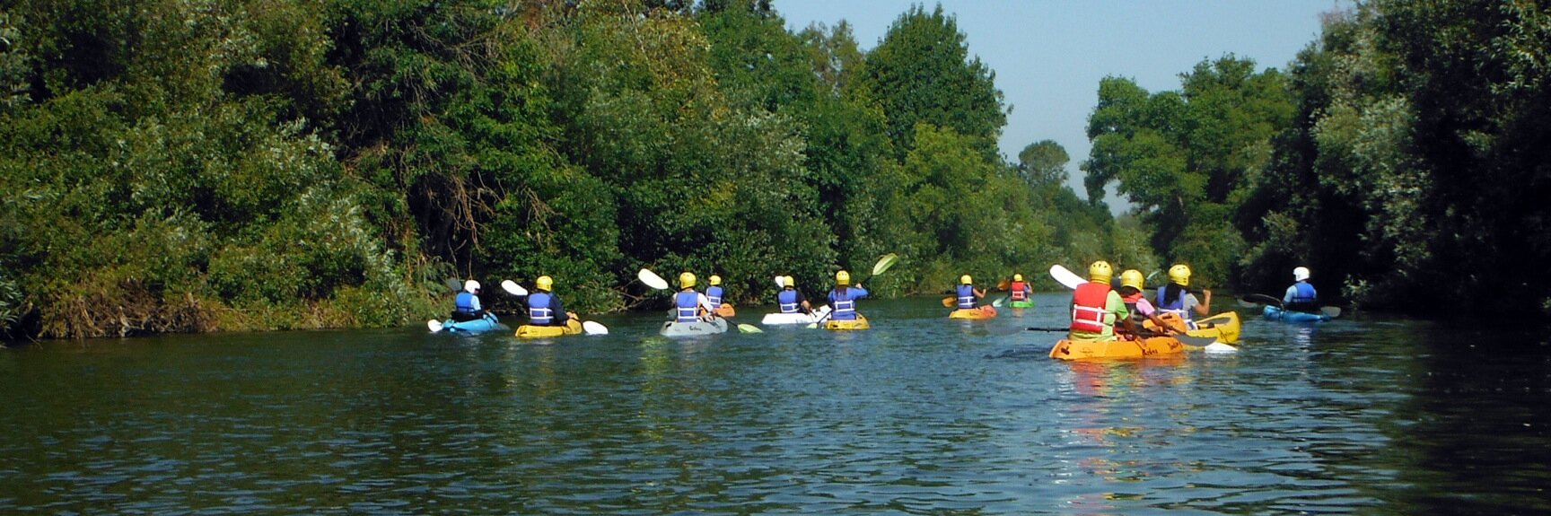 PaddleLARiver's profile banner image
