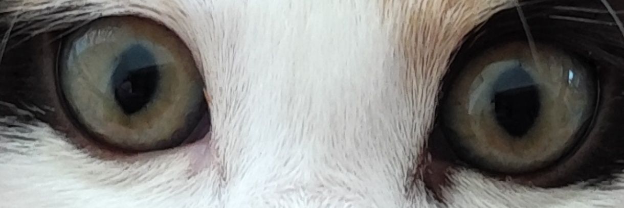 fiyiduran's profile banner image
