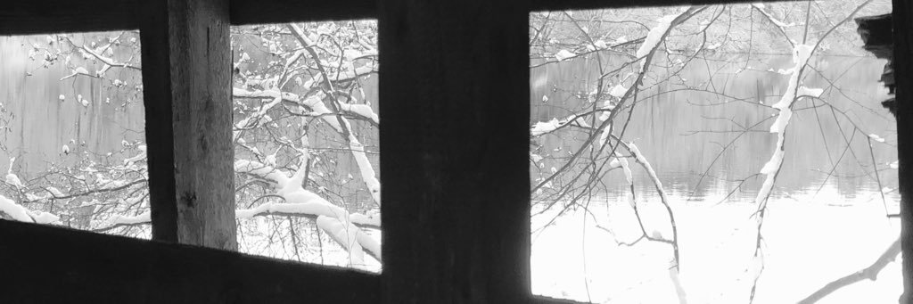 MJSchnitzler's profile banner image
