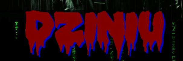 dziniu's profile banner image