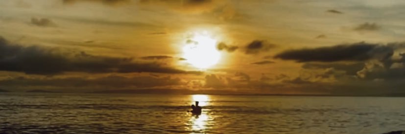 itscheneliny's profile banner image