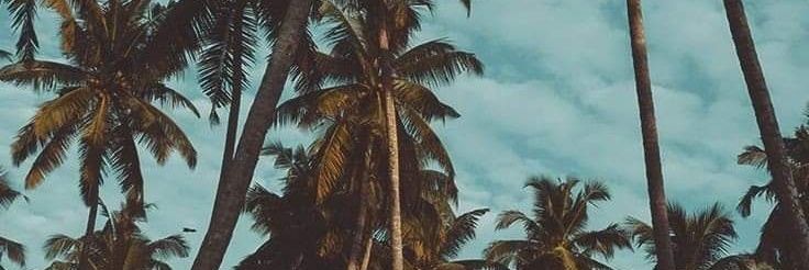 Mikeesy20's profile banner image