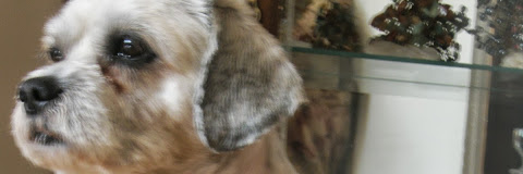 hstalk's profile banner image