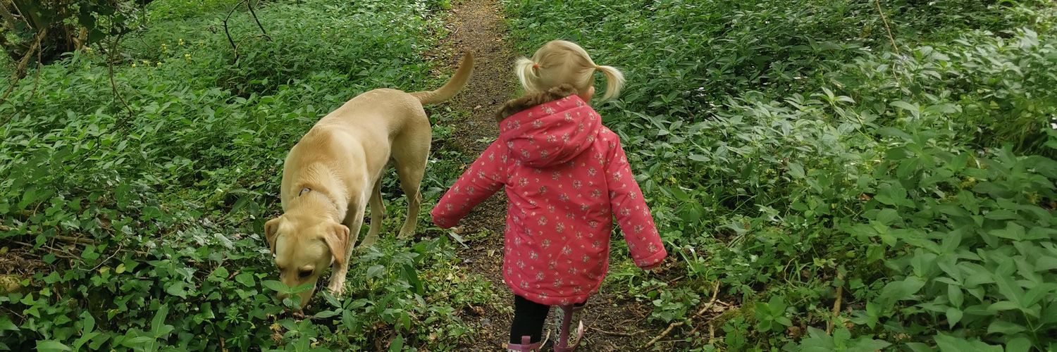 LucyNobbs's profile banner image