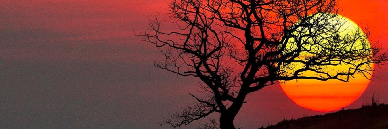 Ruju62's profile banner image