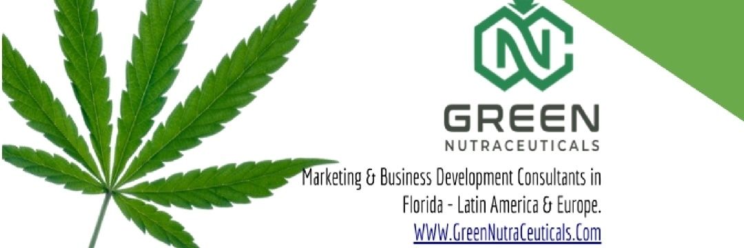 GreenMurketing's profile banner image