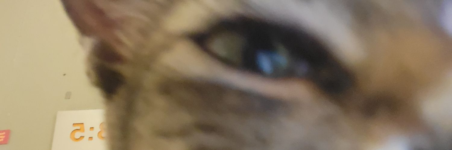 jzrlrys's profile banner image