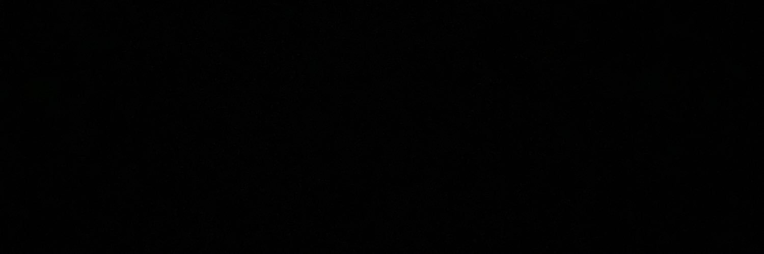 piabremermann's profile banner image