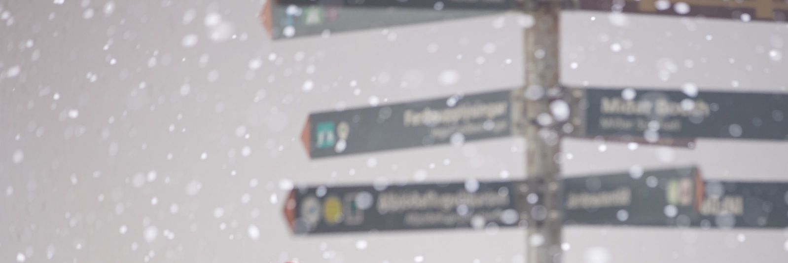 sathsarani0123's profile banner image