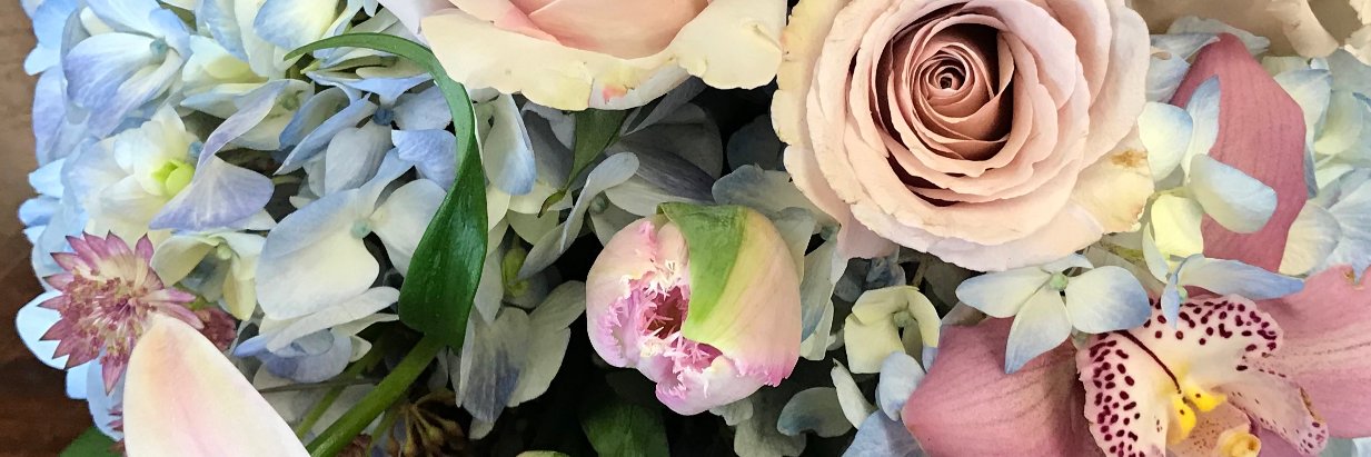 Bloomsters's profile banner image