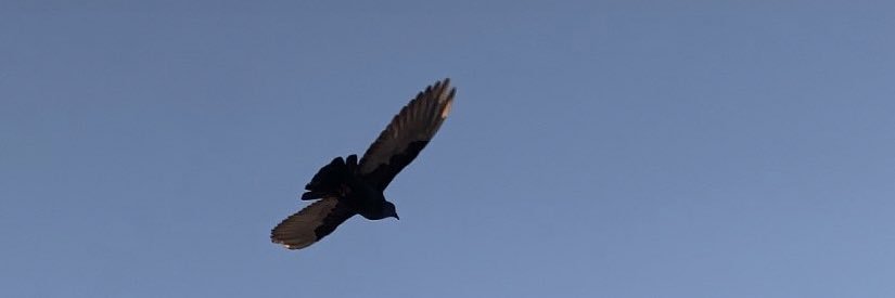 MalamildSutha's profile banner image