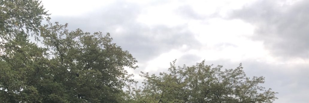 brendan_bc14's profile banner image