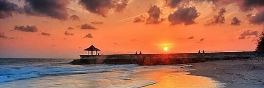 captain's voyage🔸 🌵✨ ✰ 🪐 banner