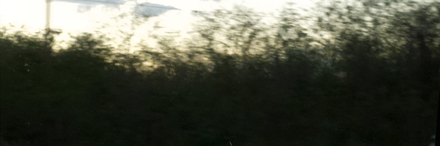 marigiz's profile banner image