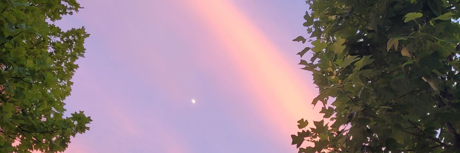 SHR_0801's profile banner image