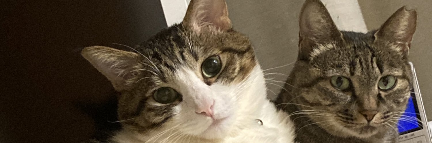 minodiousdeth's profile banner image