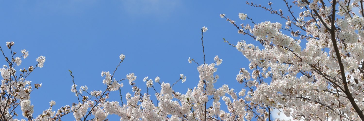 jsumn05's profile banner image