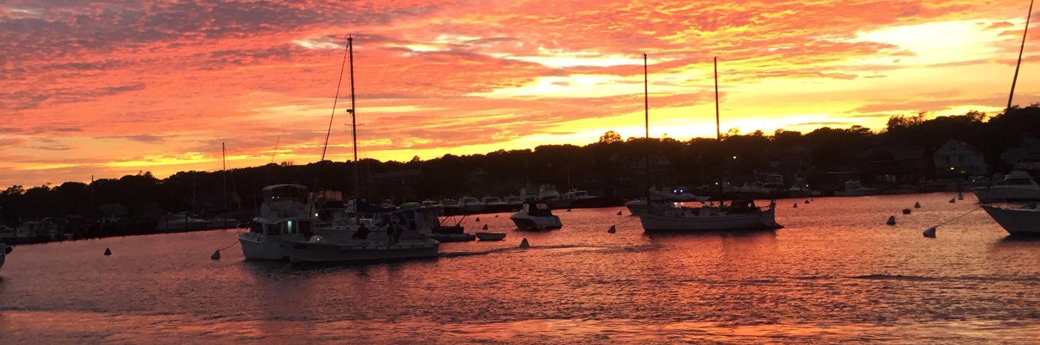 Megan Piche 🌵✨ banner