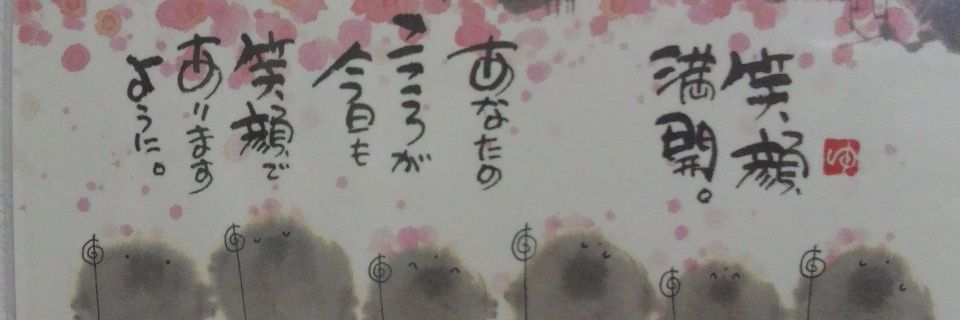 dolphin_naos's profile banner image
