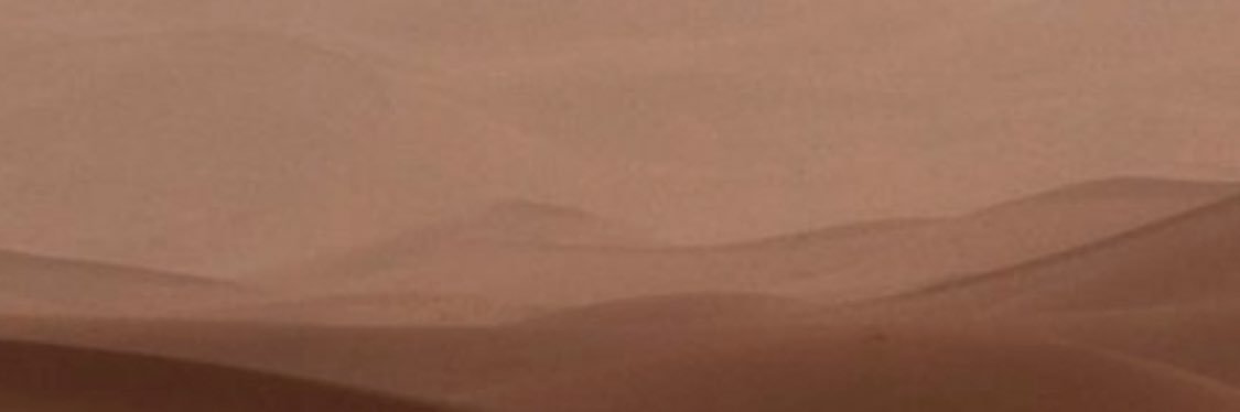 yokortney's profile banner image