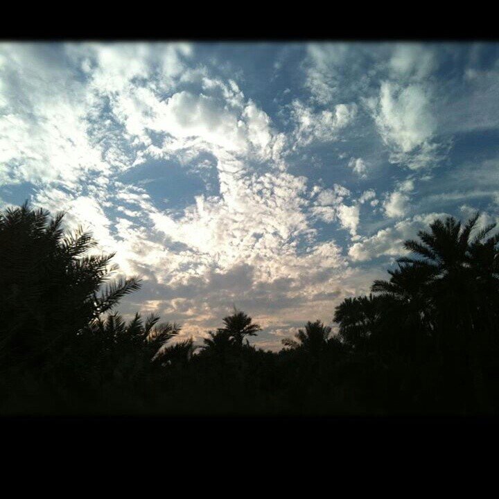Aziza_Almasoud's profile banner image