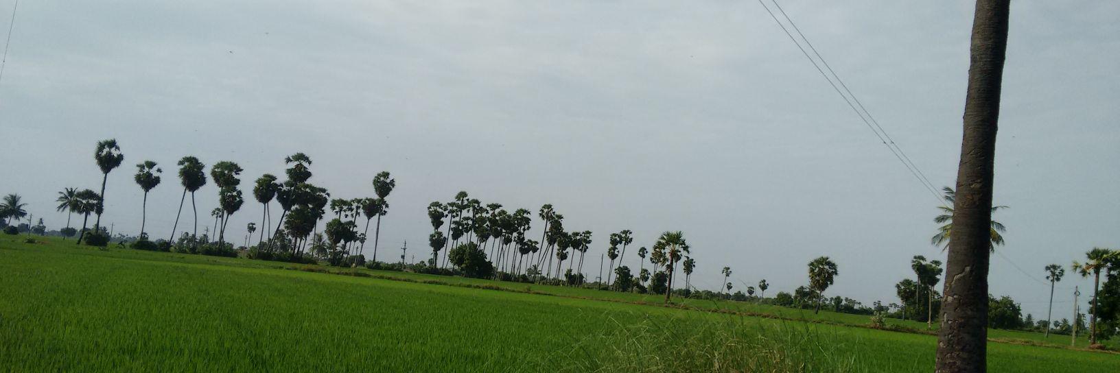 YoganandSagar's profile banner image