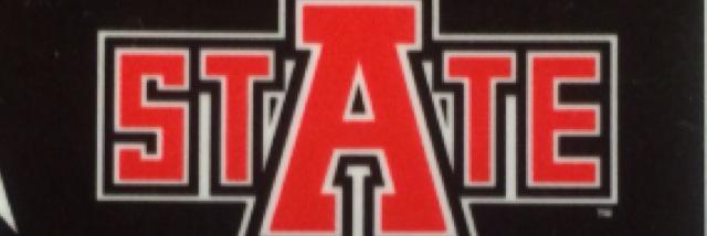 AStateERZ banner