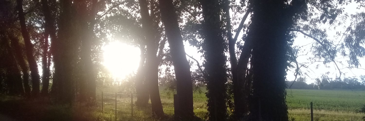 silvia dalponte banner