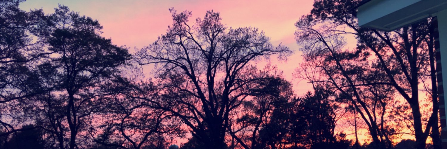 iDesireYu's profile banner image