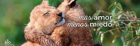 catabesos's profile banner image