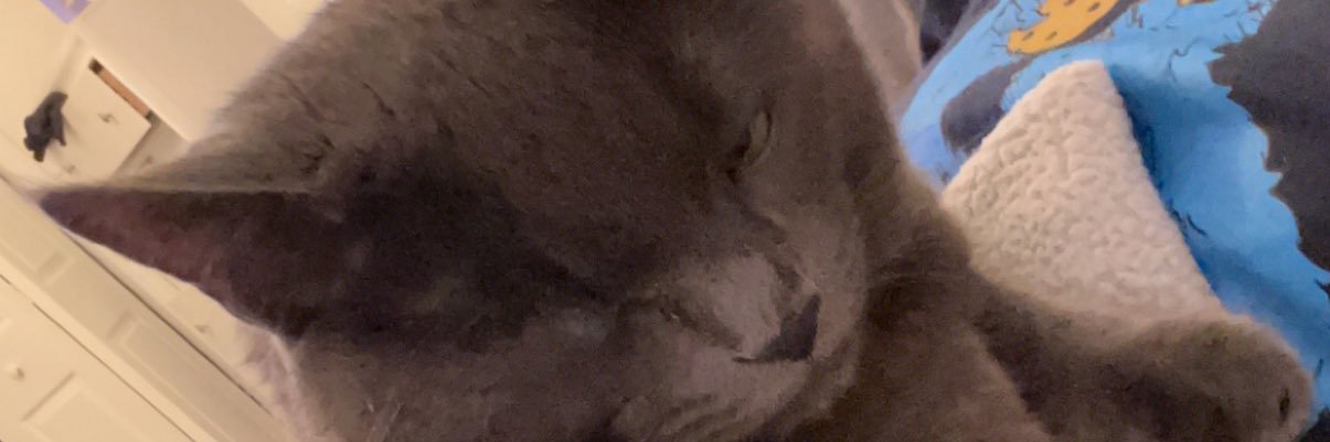 emmaribar2's profile banner image
