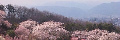 ariel_rice's profile banner image