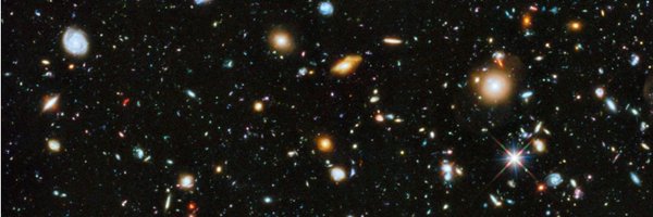 justinedeter Profile Banner