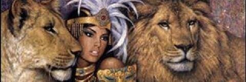 thikaboo's profile banner image