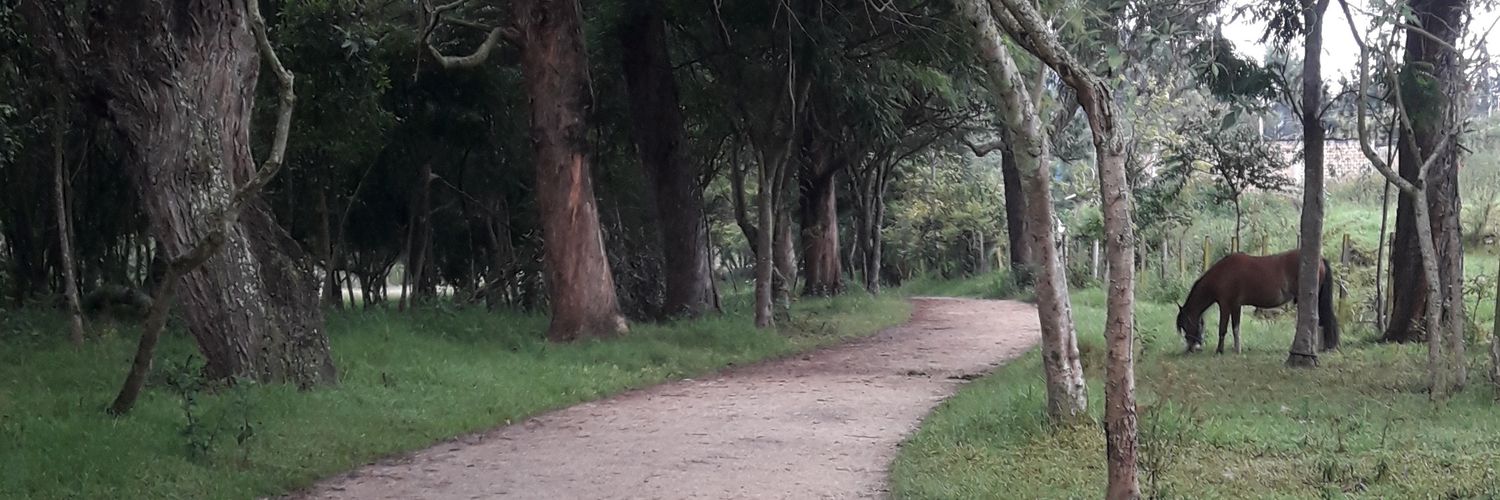 AndreLeonGz's profile banner image