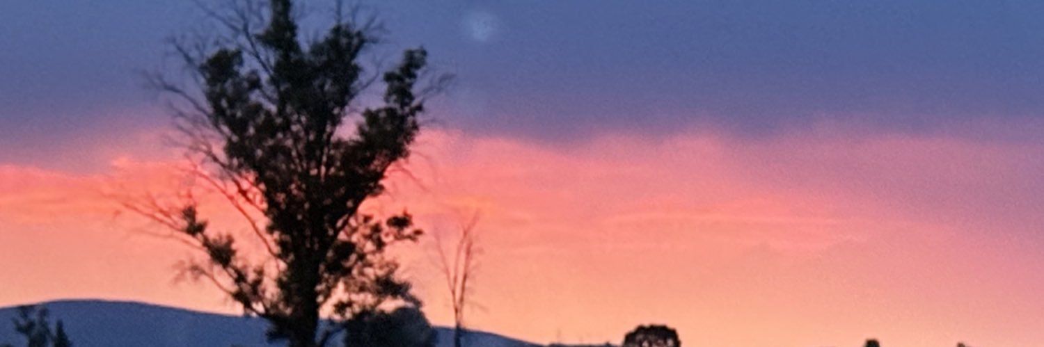 AriadnaRM_'s profile banner image