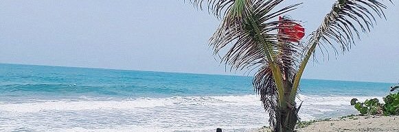 rodolfoacos's profile banner image