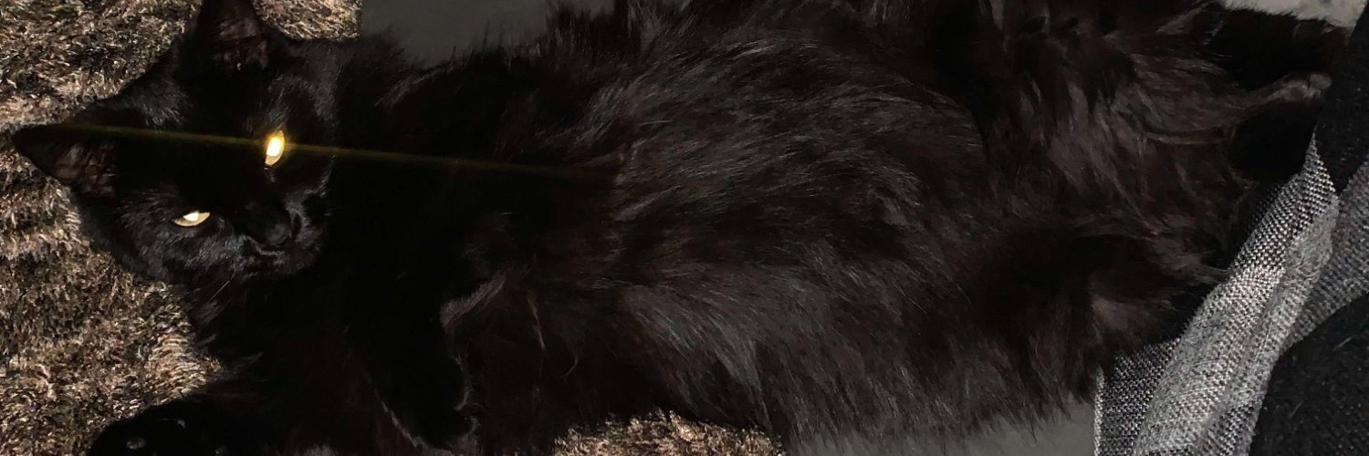 chia__seeds's profile banner image