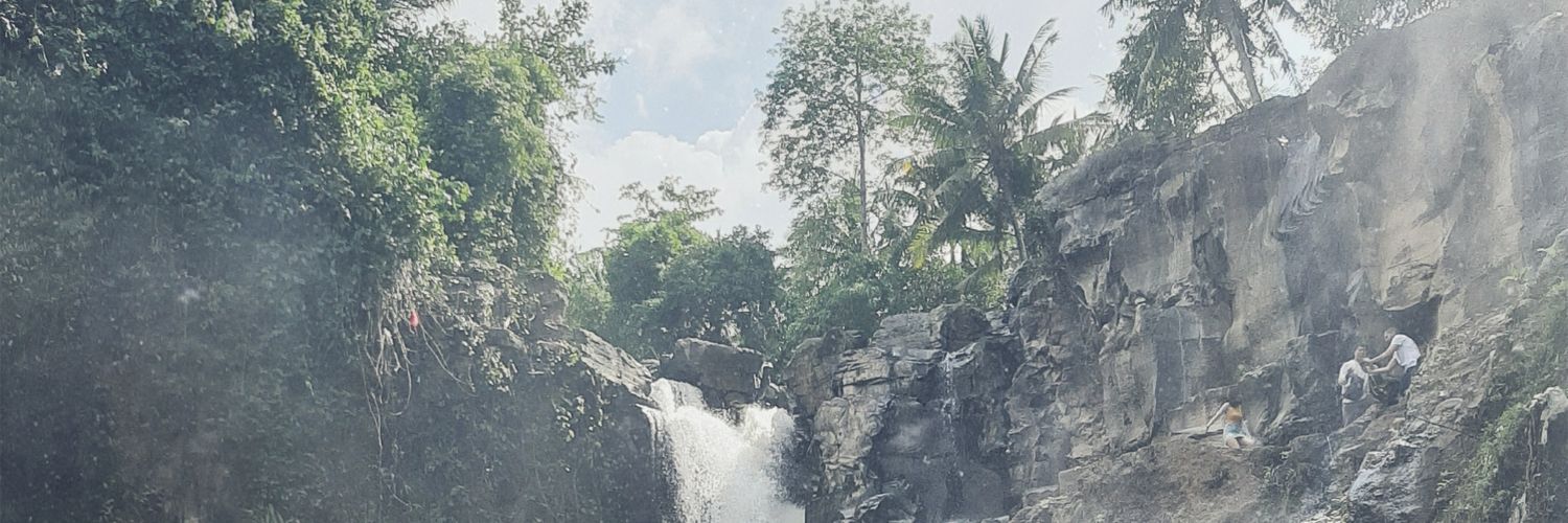 Aly banner