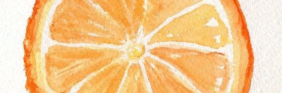 annabhodge's profile banner image