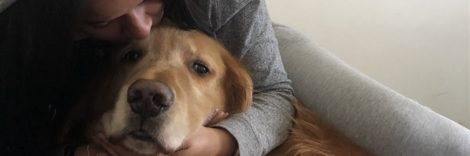 LauraLinerov's profile banner image