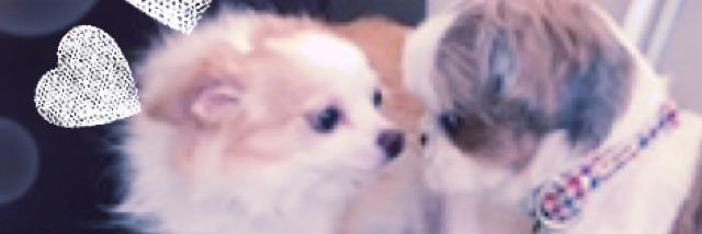 FineB20's profile banner image
