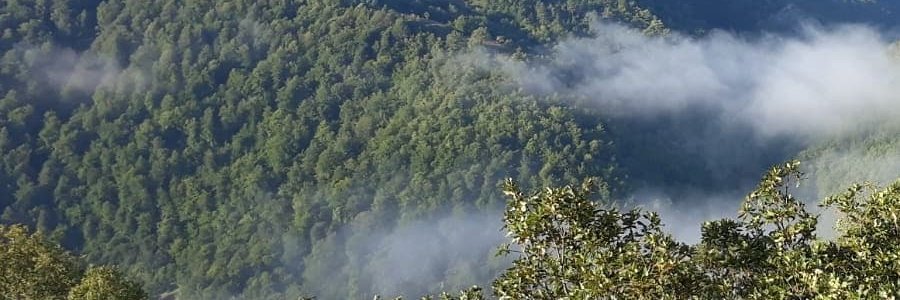 huriyegms's profile banner image