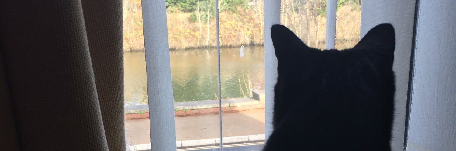 Mika + Linda Pariser banner