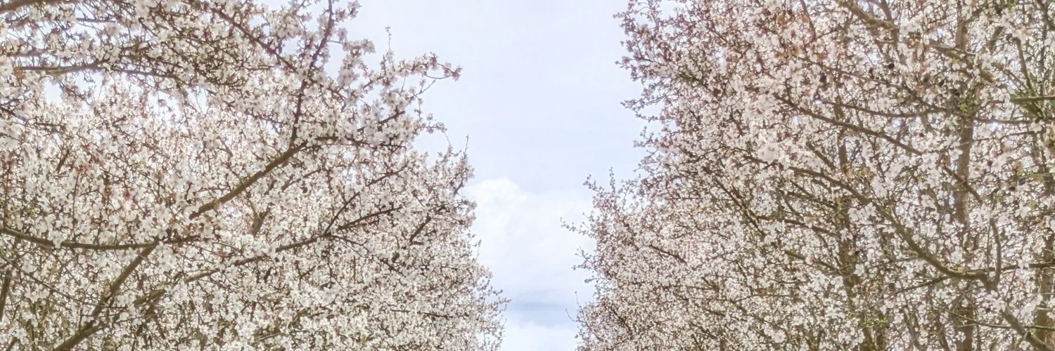 Allison Owens™ banner