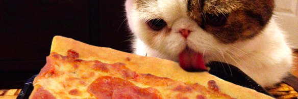 pizzasomm's profile banner image