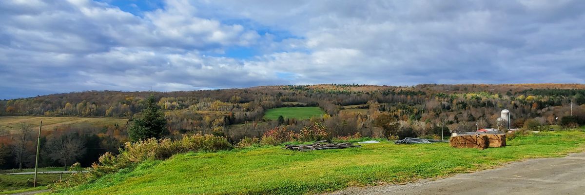 _sierramisttt's profile banner image