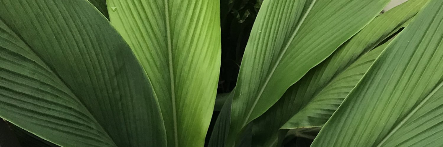 elf_blaack's profile banner image